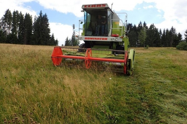 Mhdrescher auf einer Blumenwiese bei Lenzkirch im Grnwald. Hier wurde fr das Projekt des naturparks Sdschwarzald Samen von Brwurz und Schwarer Flcoekblume geerntet. (Foto: Ulrike Stephan)