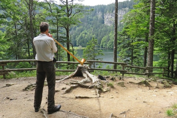 Besondere Klangerlebnisse erwarten die TeilnehmerInnen bei der Erlebniswanderung ( Dr. Stefan Schmid)