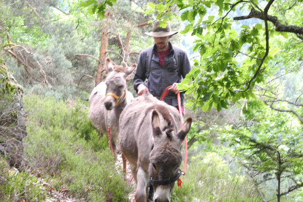 Naturpark-Gstefhrer Oliver Haury mit seinem Eselpaar Angelo und Paulina