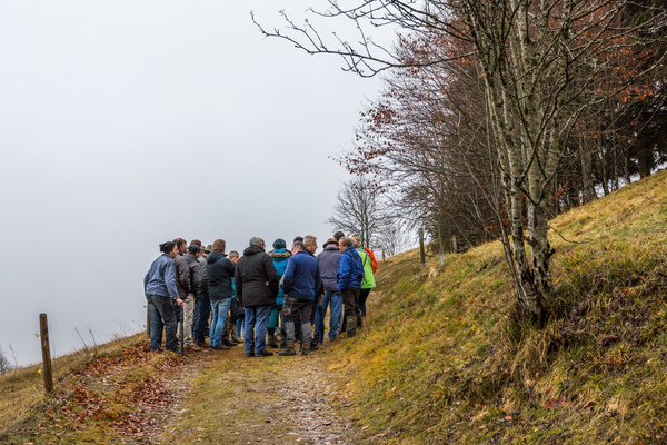 Der zweite FFH-Lebensraumtyp, der bei der Exkursion bei Wieden besichtigt wurde, sind die artenreichen Borstgrasrasen.  Naturpark Sdschwarzwald