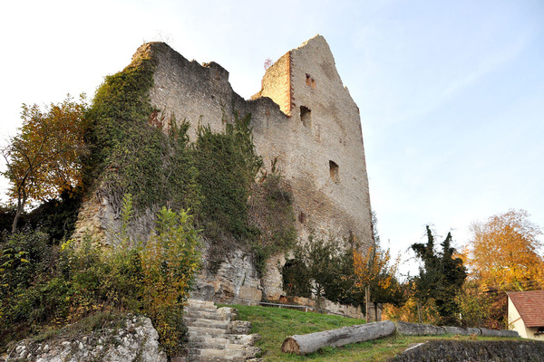 Die Burg Landeck ber Teningen  Monika Reinbold-Schmidlin