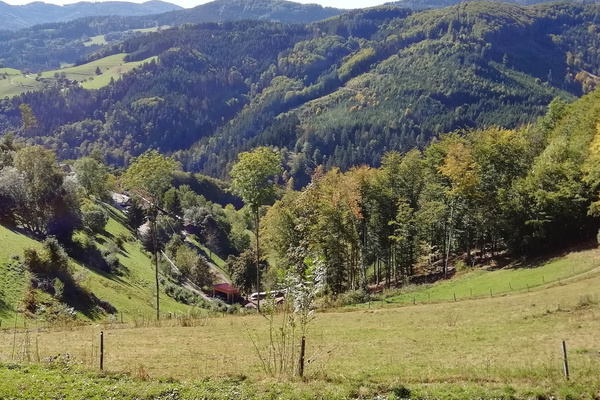 Die Wanderung fhrt ber die malerischen Hhen des Kleinen Wiesentals.  Patricia Fromm