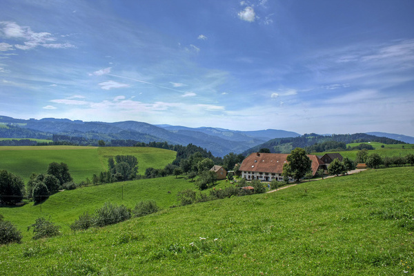 Die stattlichen Eindachhfe prgen das Bild des Schwarzwaldes. Das Projekt Baukultur und Tourismus beschftigte sich auch mit diesem Aspekt  VDN/S. Plewinski