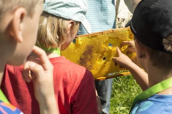 In der Naturpark-Schule lernen Kinder mit allen Sinnen.  Markus Ketterer