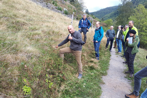 Frank Lamprecht, Herdenschutzberater im Auftrag der Forstlichen Versuchs- und Forschungsanstalt, erlutert die Kriterien fr einen wolfsabweisenden Zaun.  Naturpark Sdschwarzwald