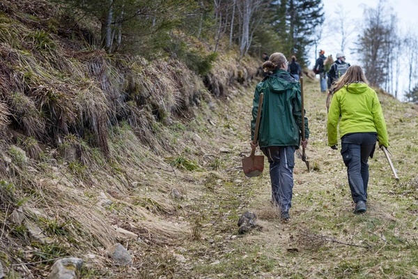 Beim Voluntourismus knnen Gste in ihrem Urlaub unter fachkundiger Anleitung etwas Gutes fr die Umwelt tun.  Naturpark Sdschwarzwald/Sebastian Schrder-Esch