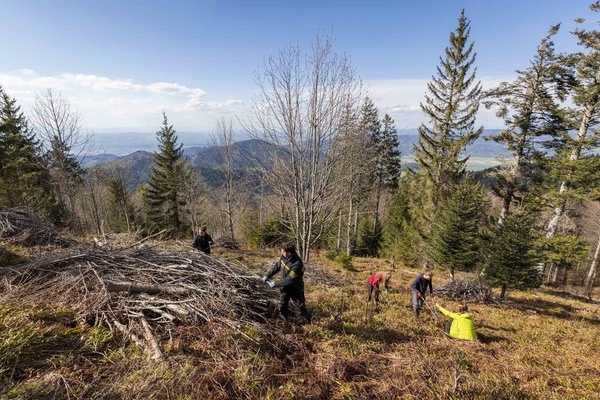 Beim Voluntourismus knnen Gste in ihrem Urlaub unter fachkundiger Anleitung etwas Gutes fr die Umwelt tun.  Naturpark Sdschwarzwald/Sebastian Schrder-Esch 