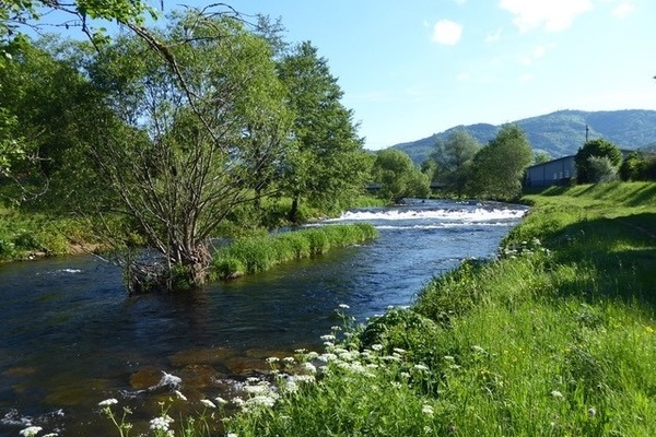 Entlang des malerischen Flusses Wiese  Roswitha Endlicher