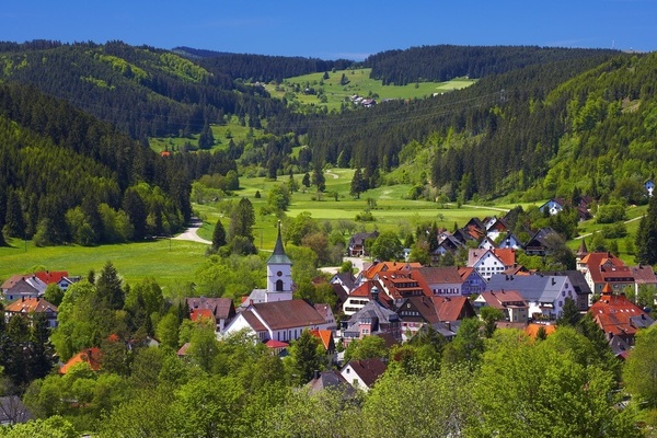  Blick auf Lenzkirch  Spiegelhalder