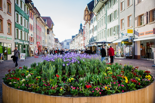  Stadt Waldshut-Tiengen