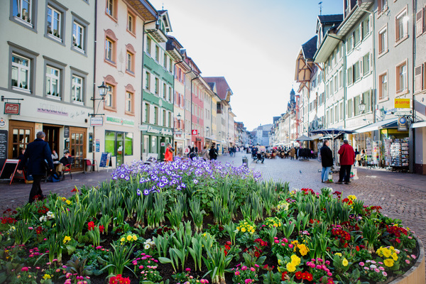 Frhling in der Innenstadt  Stadt Waldshut