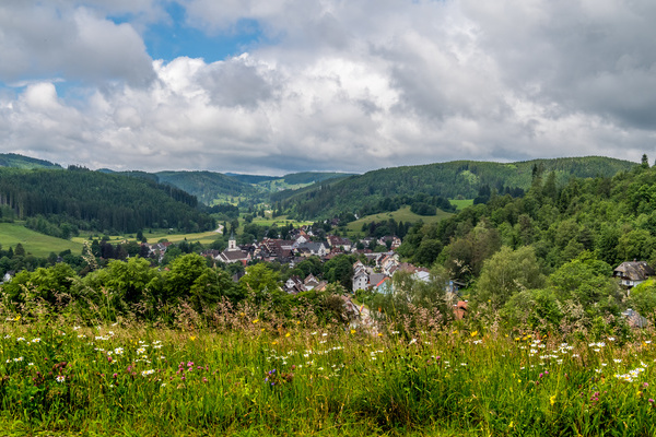 Blick auf Lenzkirch  Klaus Hansen