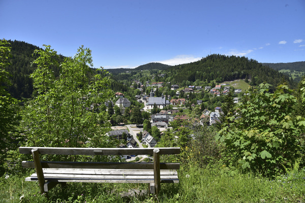 Aussicht auf Todtmoos  Steffen Rees