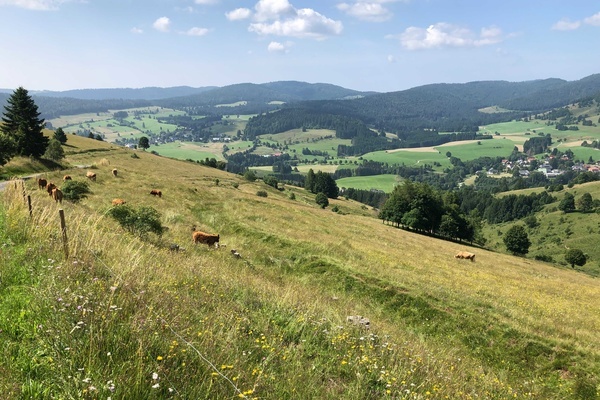 Blick auf das Berner Hochtal  unique land use GmbH