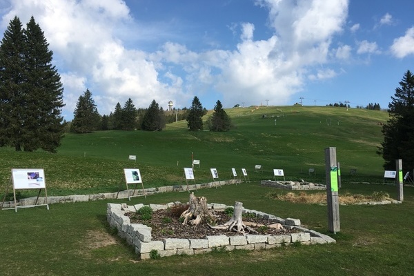 Die Ausstellung "Schritte durch die Zeit" im Feldberggarten  Haus der Natur