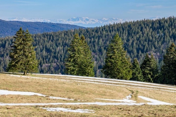 Alpenpanorama  Sebastian Schrder-Esch