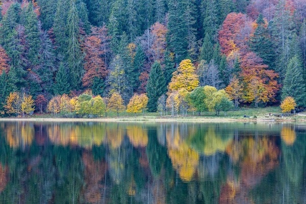 Herbststimmung am Feldsee  Sebastian Schrder-Esch