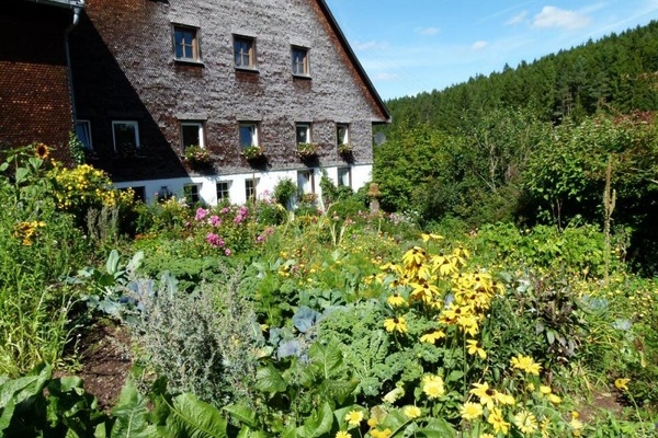 Ein Bauerngarten veredelt jeden Hof  Gertrud Zapf 