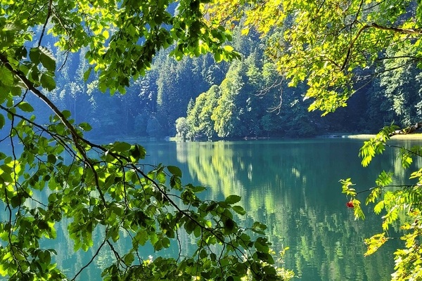 Frhsommer am Feldsee  Hubertus Ulsamer
