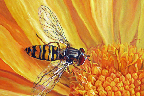 Schwebfliege  Gruppe 21/Ulrich Gater