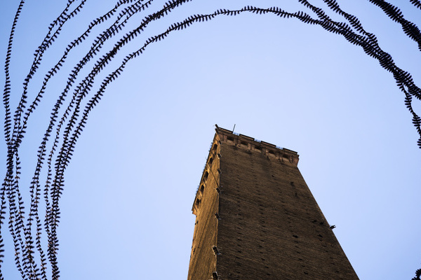 Dohlen umkreisen einen der berhmten Trme von Bologna  Photo/Iskiographie: Lothar Schiffler