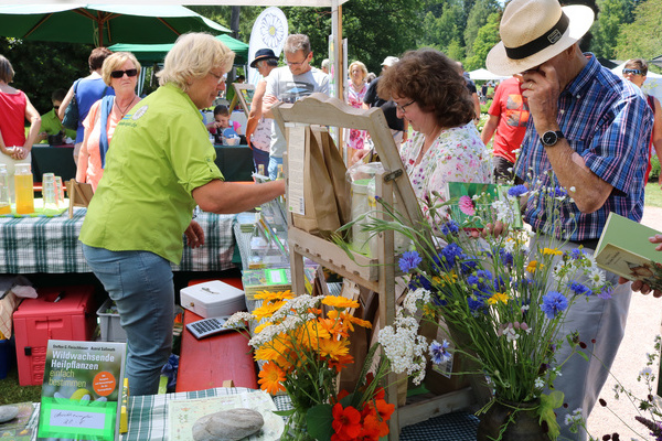 Naturpark-Markt Knigsfeld  Gemeinde Knigsfeld