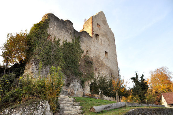 Die Burg Landeck  M. Reinbold