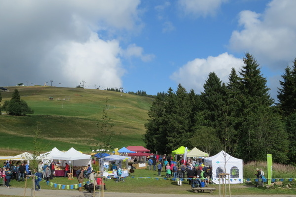 Buntes Markttreiben im Feldberggarten  Haus der Natur