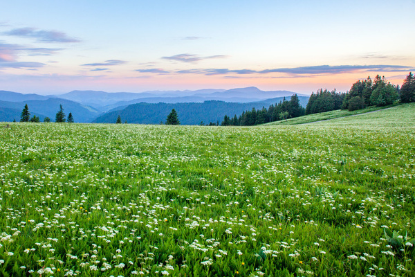 Abendstimmung am Feldberg  Sebastian Schrder-Esch