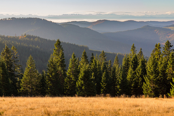 Herbstliches Alpenpanorama vom Feldberg  Sebastian Schrder-Esch